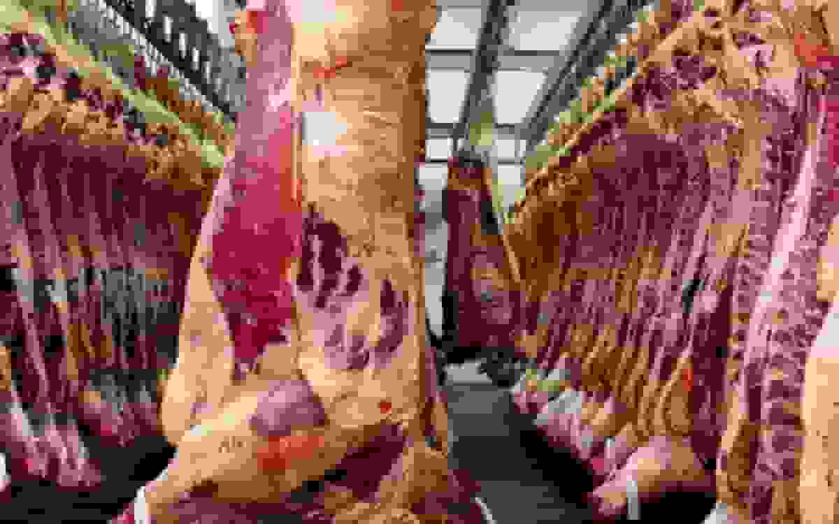 اخطار به ۵۳۲ صنف فاقد مجوز در کرج