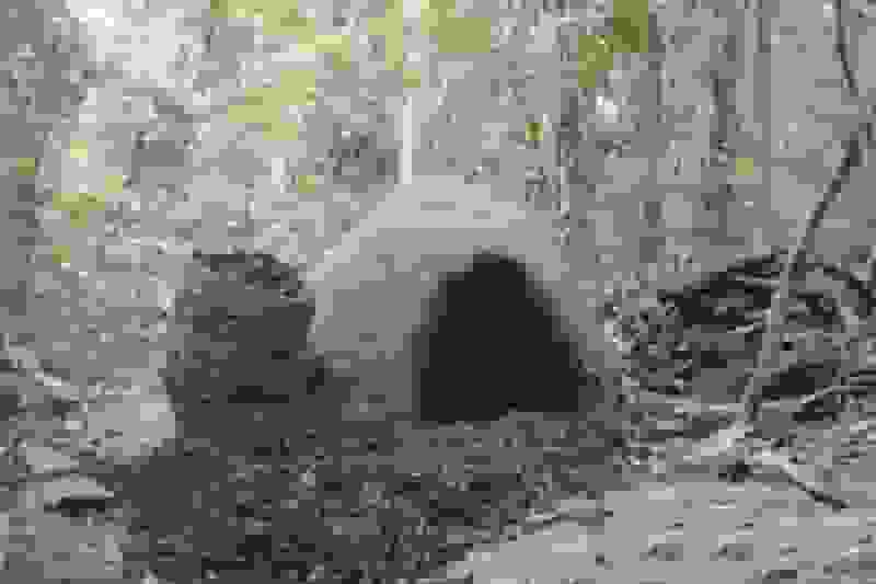 امسال ۲۵۸ فقره پرونده برای کوره‌های زغال در گلستان تشکیل شد