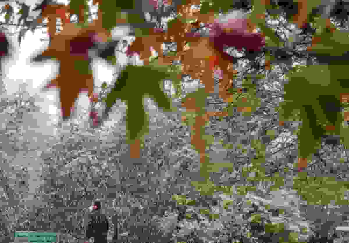 افزایش دما در نوار شمالی کشور از فردا چهارشنبه