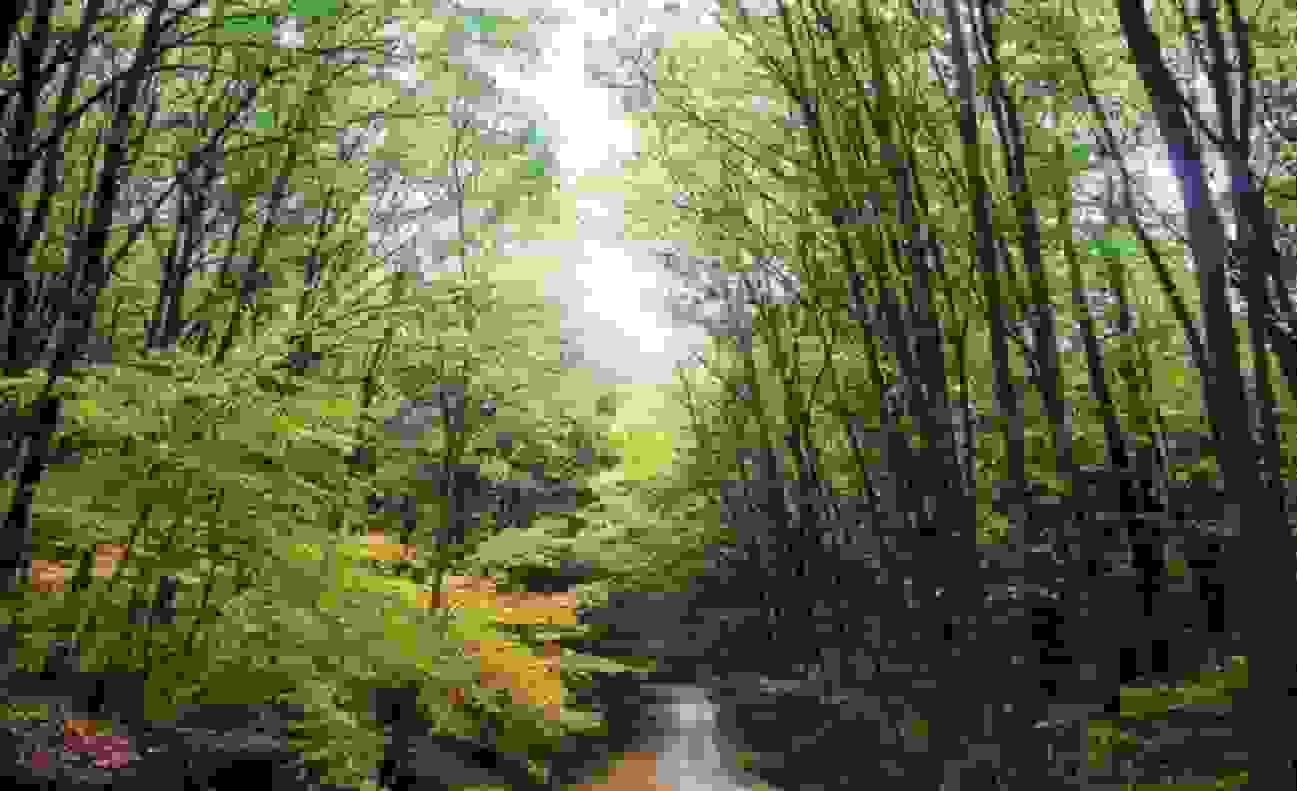 افزایش محسوس دما در شمال کشور با وزش بادهای شدید