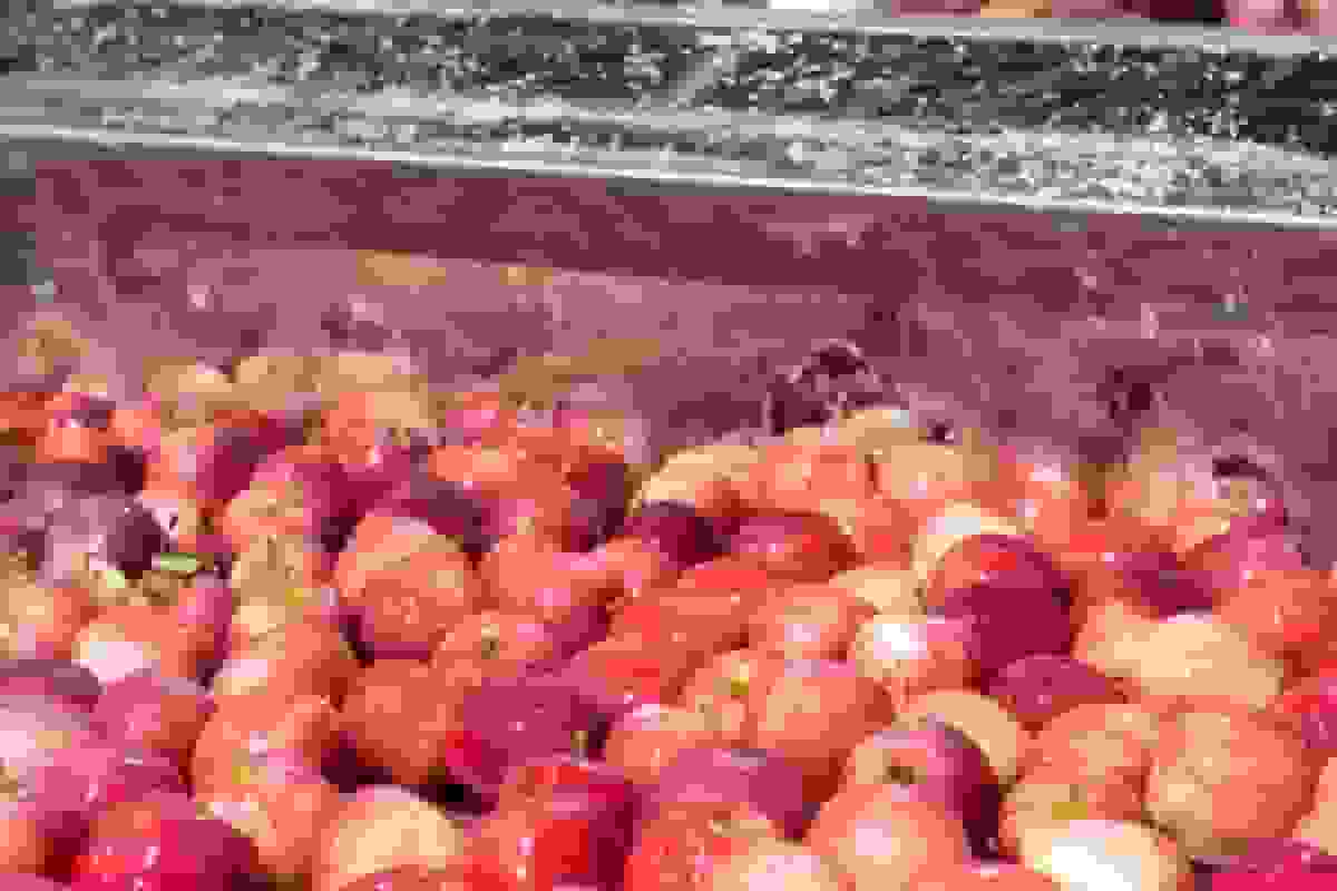 نبود صنایع تبدیلی؛ چالش کشاورزان اردبیل در حفظ ارزش افزوده محصولات