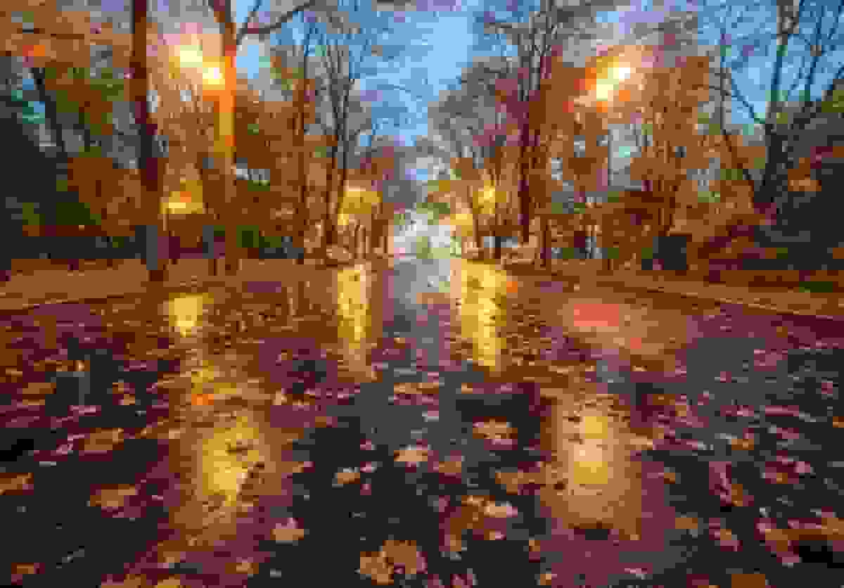 پیش‌بینی بارندگی در استان‌های شمالی و هشدار افزایش دما در ۴ استان