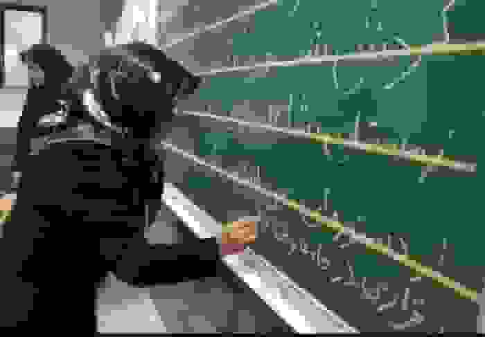 استقرار پایگاه‌های سوادآموزی در البرز برای پوشش حداکثری افراد بی‌سواد