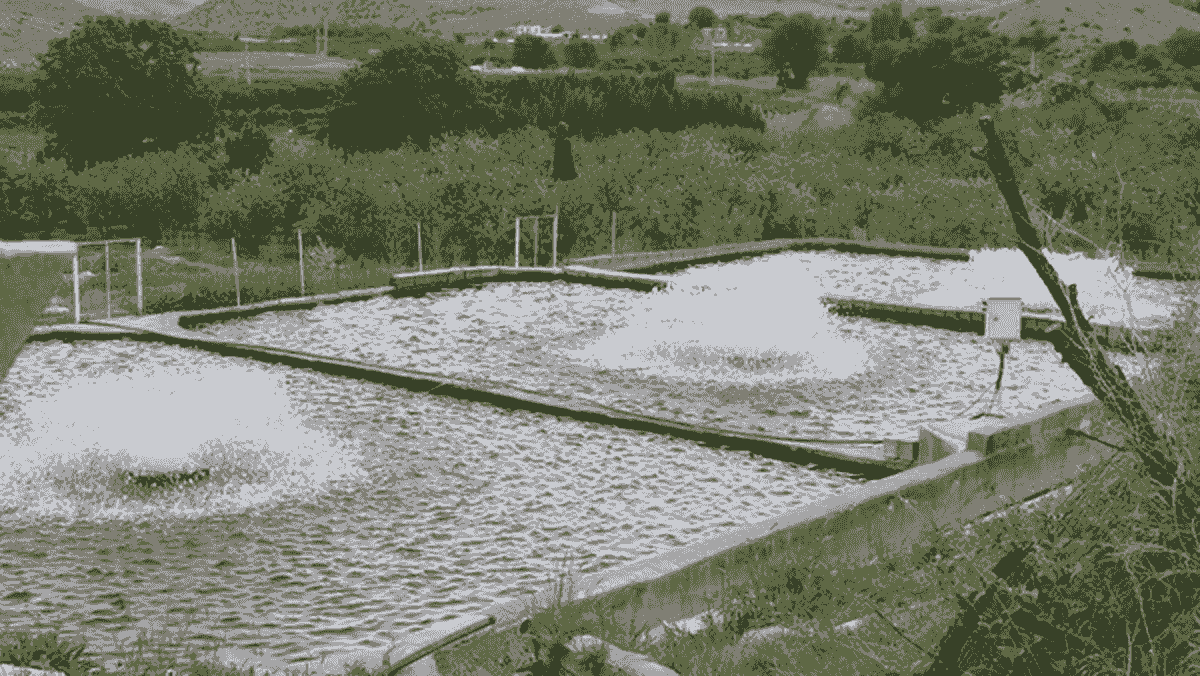 اعطای ۲۳۰ میلیارد تسهیلات حمایتی به مزارع آبزیپروری اردبیل