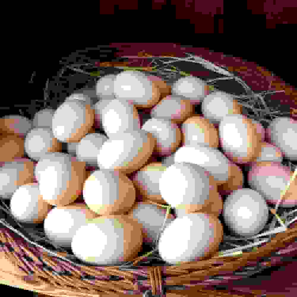 روند صعودی قیمت تخم‌مرغ در زنجان