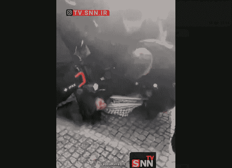 حمله خشونت‌آمیز پلیس برلین به تظاهرات حامی فلسطین