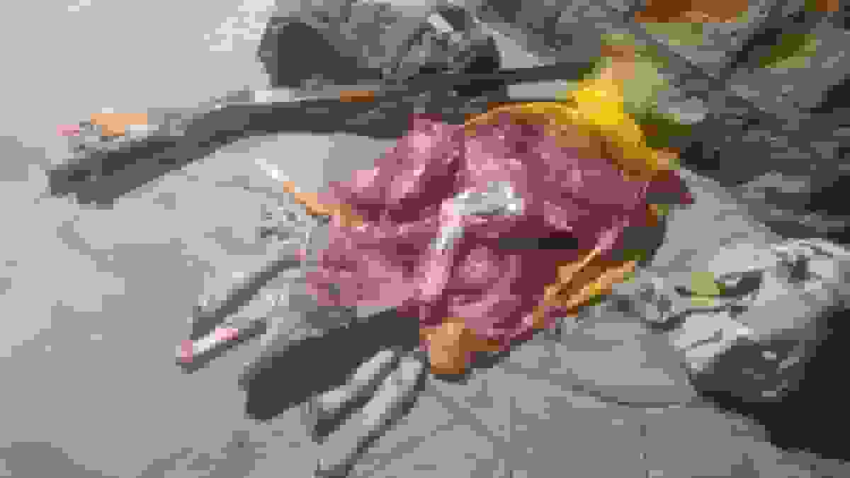 قتل بیرحمانه قوچ وحشی در صیدوا و دستگیری ۳ شکارچی