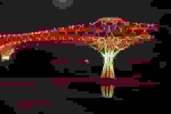 پل طبیعت در حمایت از بیماران ترومبوز قرمز میشود