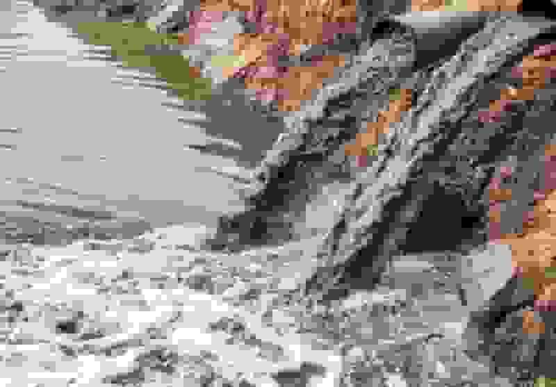 دادستان جیرفت وضعیت رودخانه ملنتی را فاجعه زیست‌محیطی اعلام کرد