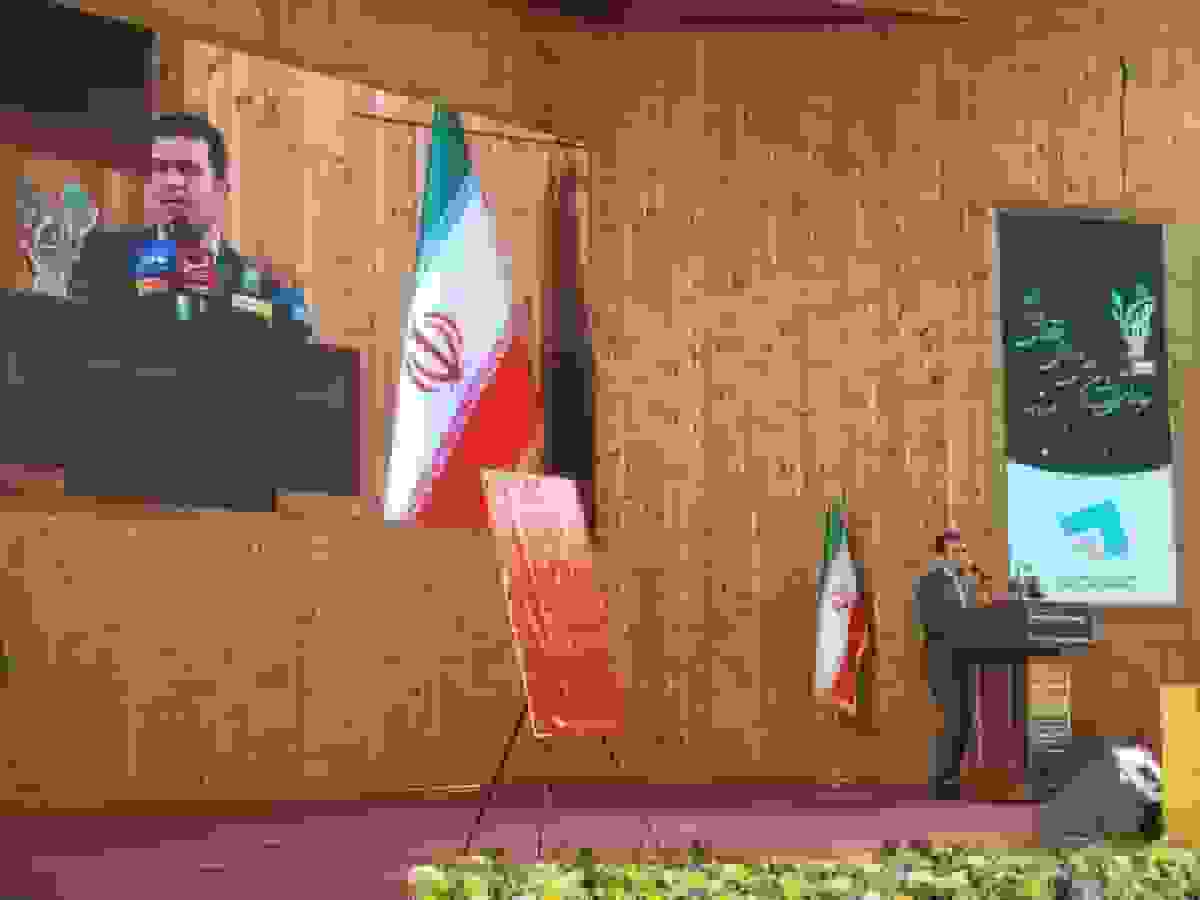 معاون علمی ریاست‌جمهوری: تأمین مالی هوشمند شرط بقای اقتصاد دانش‌بنیان