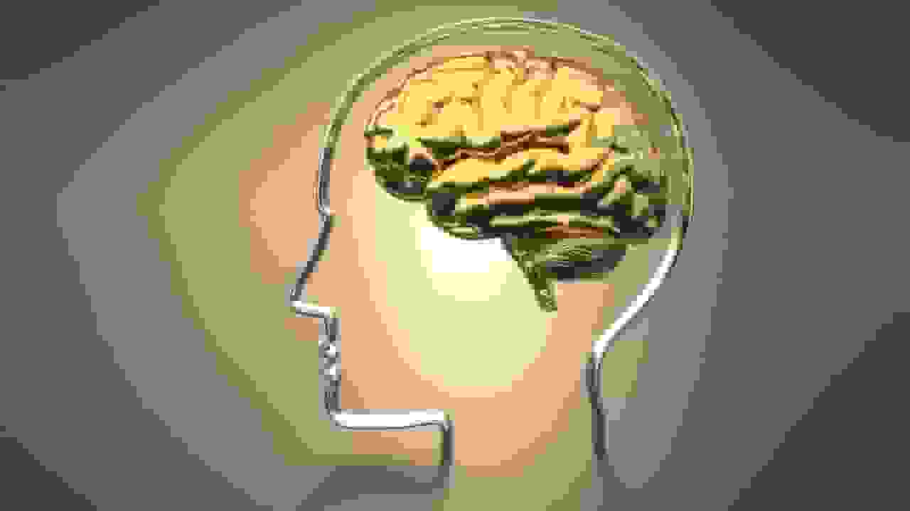 راز‌های تقویت مغز با تمرینات ساده روزانه