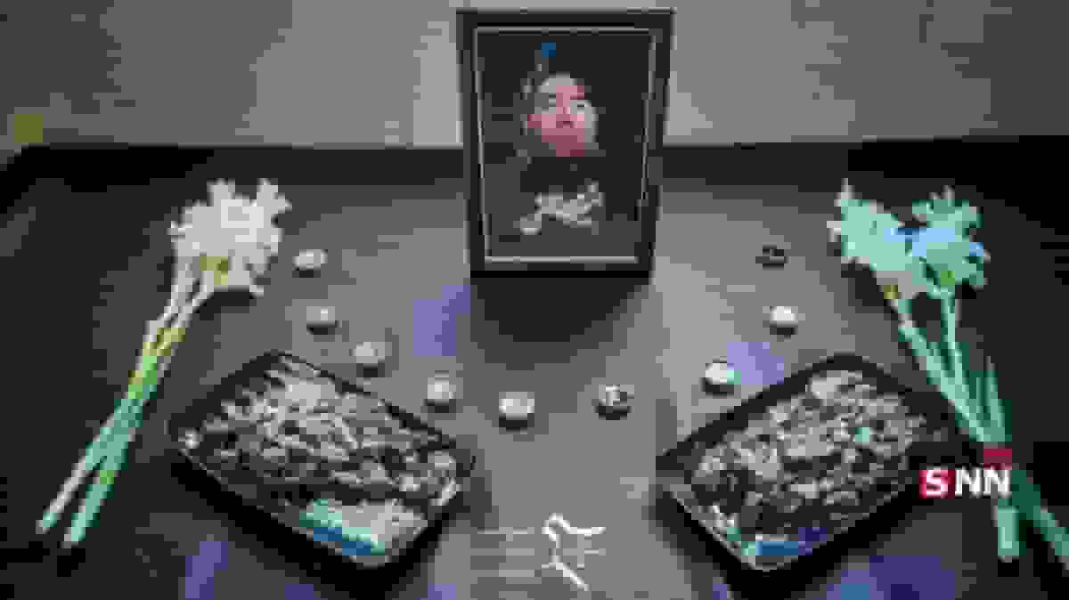 قاتل دانشجوی دانشگاه تهران بخشیده شد؛ بررسی پرونده امیرمحمد خالقی