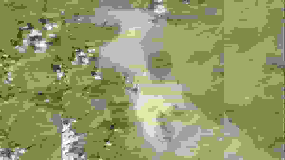 متولی نجات دریاچه ارومیه کیست؟