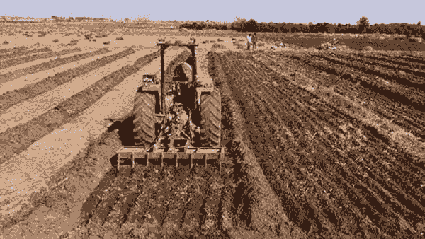 بازگشت ۷۰ هزار هکتار زمین در زنجان به مردم