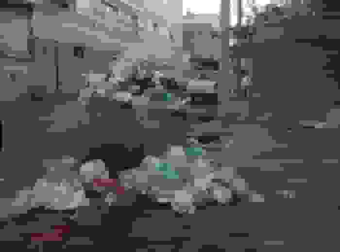 بهداشت شهری ایلام در وضعیت نامطلوب! شهرداری کجای کار است؟