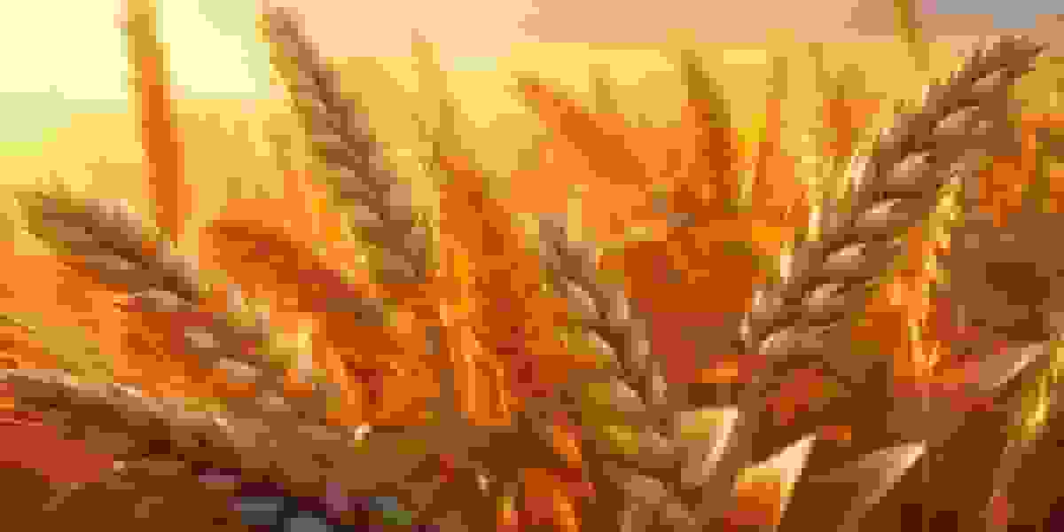 جزئیات نرخ‌گذاری خرید تضمینی گندم