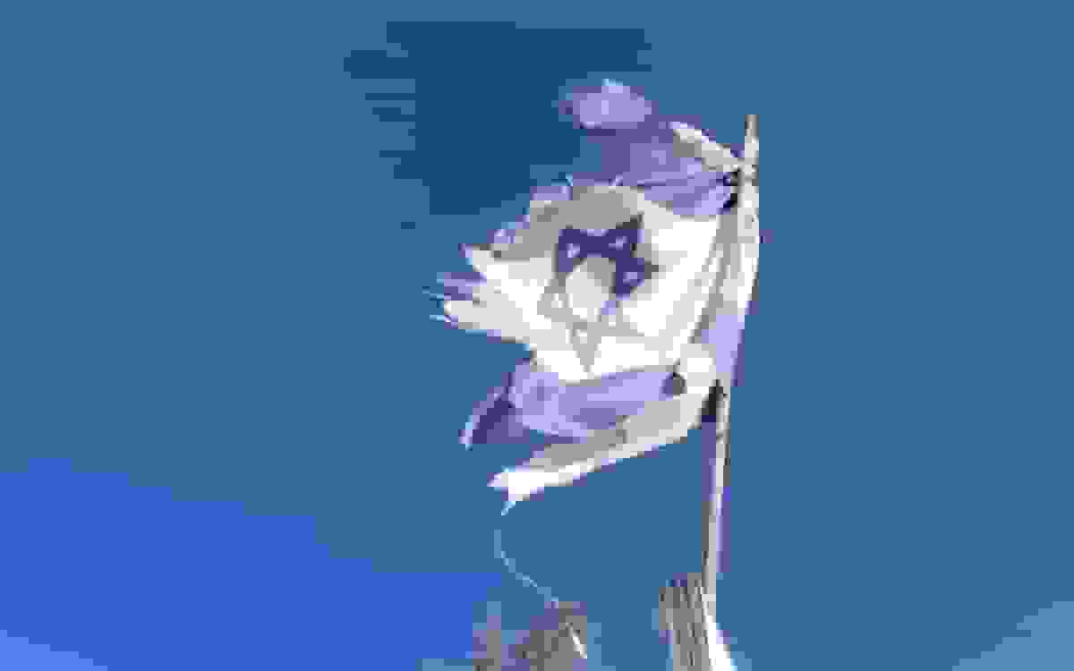 جامعه صهیونیستی زیر تیغ شکاف‌ها و اختلافات داخلی پس از جنگ غزه