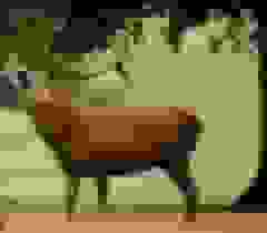 مساعی عدلیه و محیط‌بانان برای نجات زیست‌مندان جهان‌نما