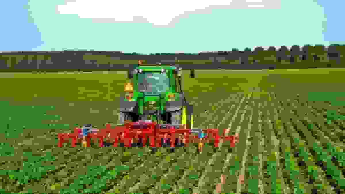 کشت پاییزه با تاخیر آغاز میشود