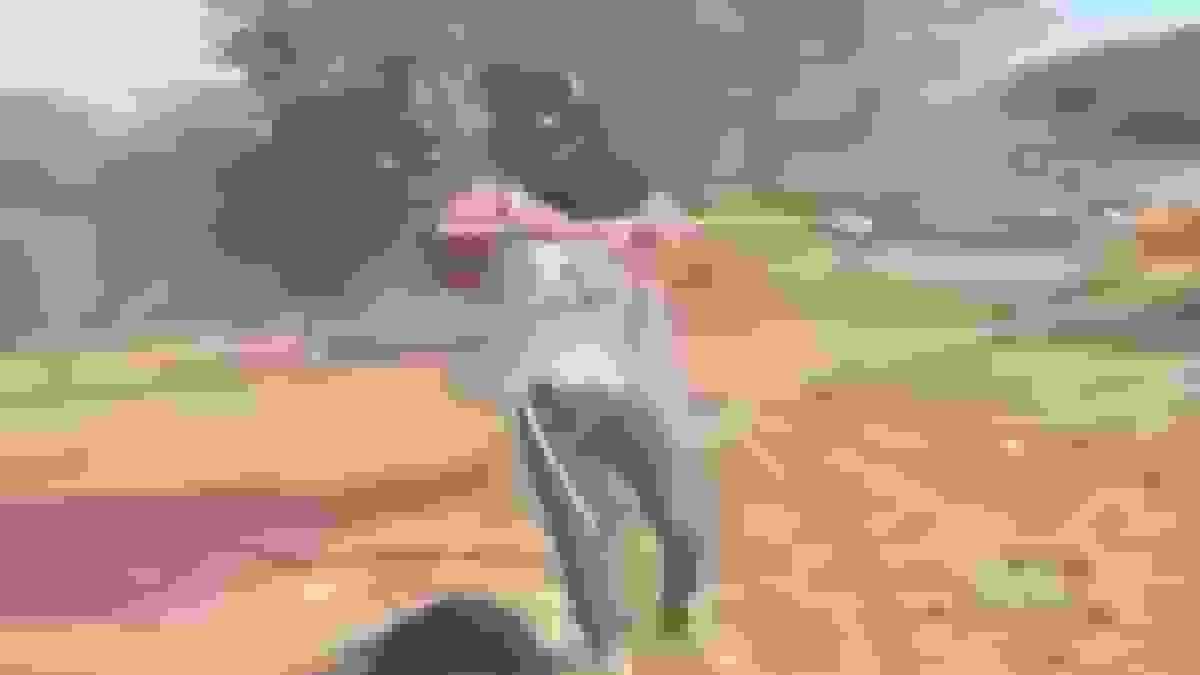 حمله شهرک‌نشین صهیونیست به زن فلسطینی در روستای الغیر