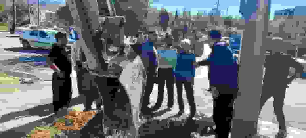 قطع ۱۳ انشعاب غیرمجاز آب در حوالی میدان نبوت ایلام