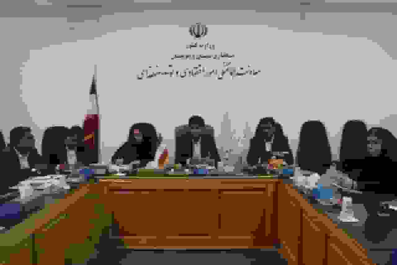 بررسی وضعیت اجرای طرح کولبری در استان سیستان و بلوچستان