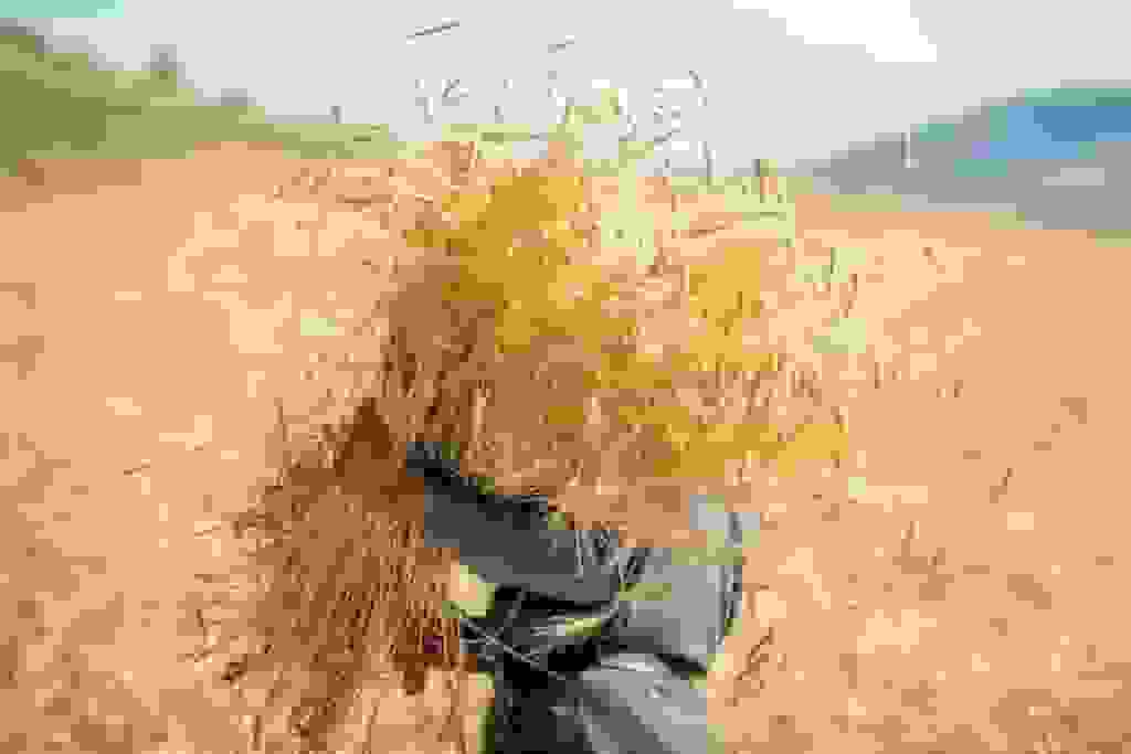 یک پنجم حق بیمه سهم گندمکاران واریز شد