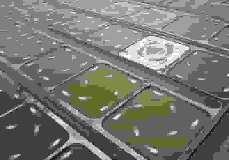 پایش مزارع پرورش میگو در بوشهر در دستور کار محیط زیست