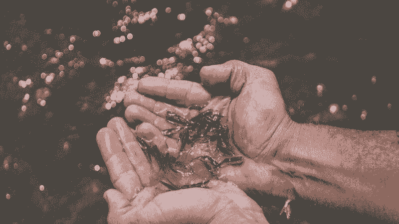 رهاسازی ۱۲۰ هزار قطعه بچه‌ماهی در دریاچه گیلارلو گرمی