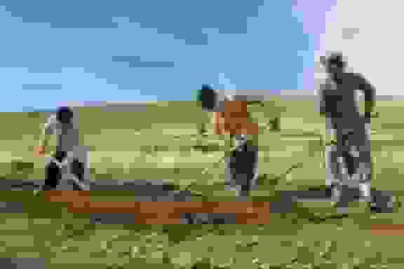 عزم مشترک مرتع‌داران و منابع طبیعی گچساران برای احیای پوشش گیاهی