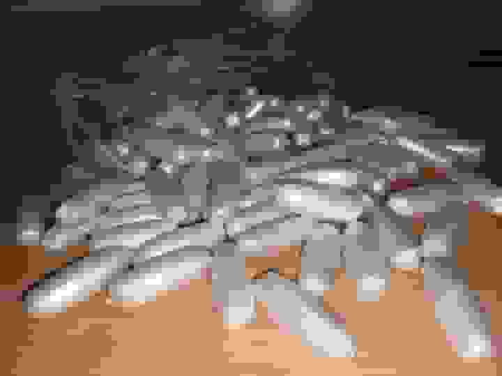 بلع ۶۰ بسته تریاک توسط ۲ مسافر در مسیر ریلی زاهدان-تهران