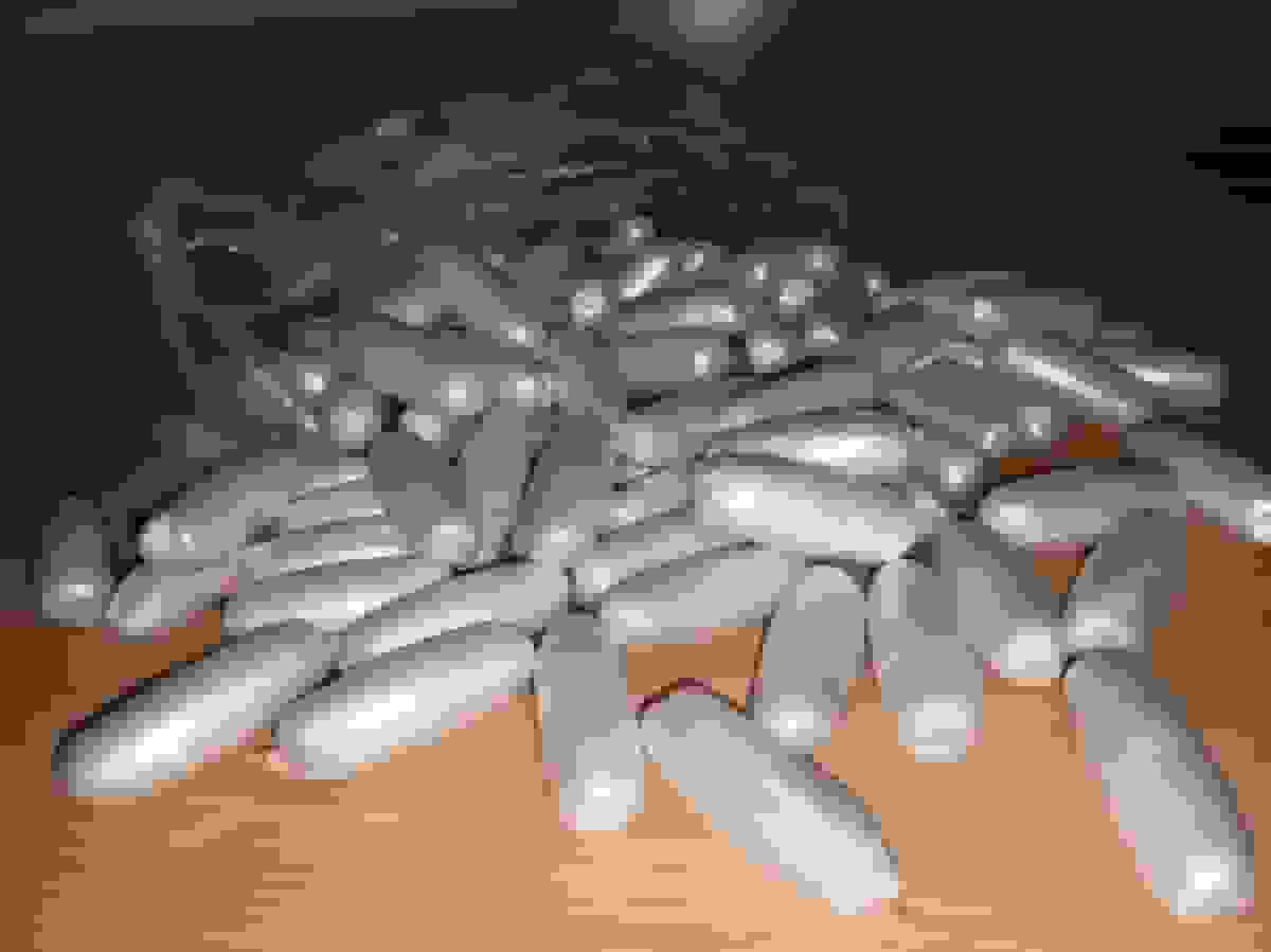 کشف مواد مخدر به صورت بلع و انباری در معده