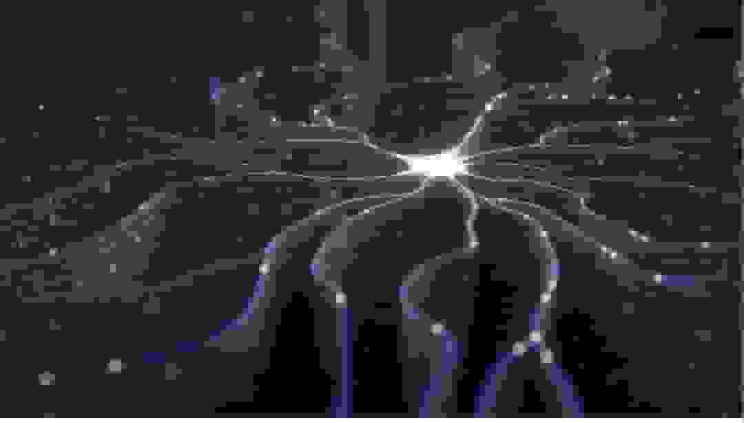 ترکیب هوش طبیعت و مدار الکترونیک در نورون مصنوعی