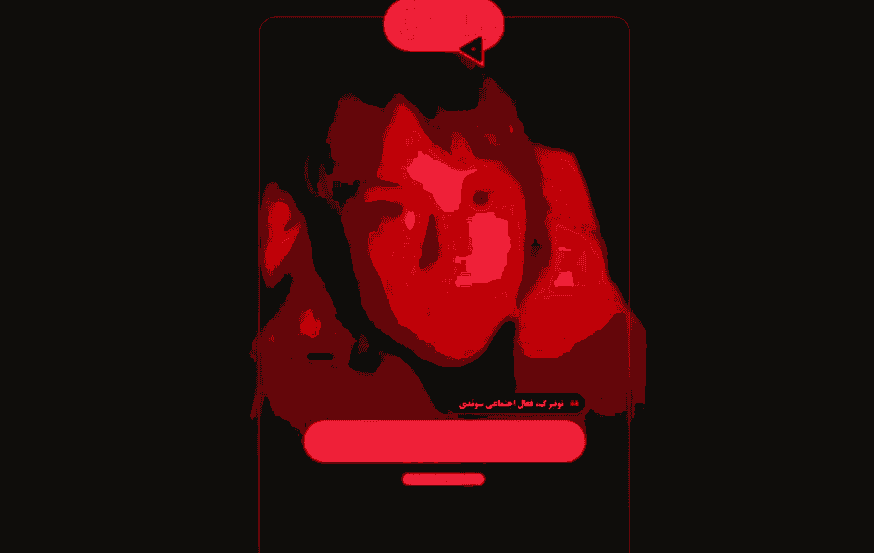 پیام کاروان صمود: اسرائیل امشب ما را می‌گیرد ولی برای فلسطین آزاد ادامه می‌دهیم