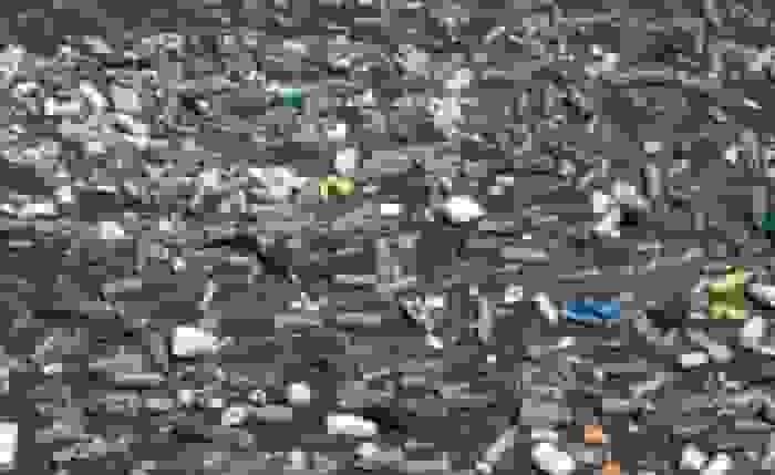 هشدار استاد دانشگاه درباره ریزپلاستیک‌ها؛ تهدیدی جدی برای سلامت انسان