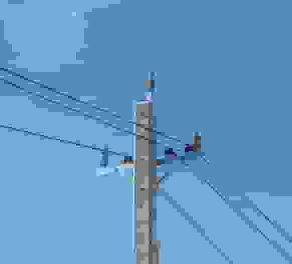 آتش‌سوزی در نیزارهای خیرآباد گچساران ۱۰ پایه برق را نابود کرد