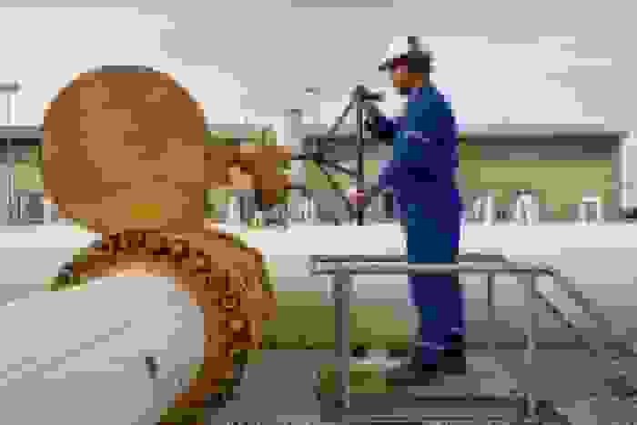 ذخیره‌سازی زیرزمینی گاز برای جبران کمبودها