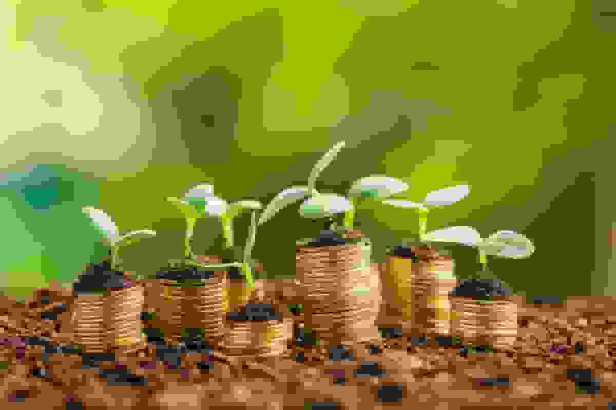 جذب سرمایه با تفویض اختیار به بخش خصوصی محقق می‌شود