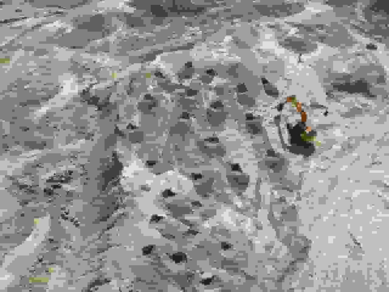 آغاز عملیات احیای عرصه‌های تخریب‌شده معدنی در کهگیلویه و بویراحمد