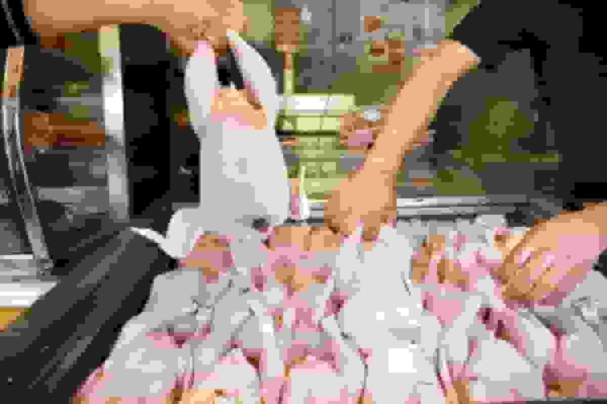 توزیع مازاد گوشت مرغ گرم برای تعادل بازار در استان تهران