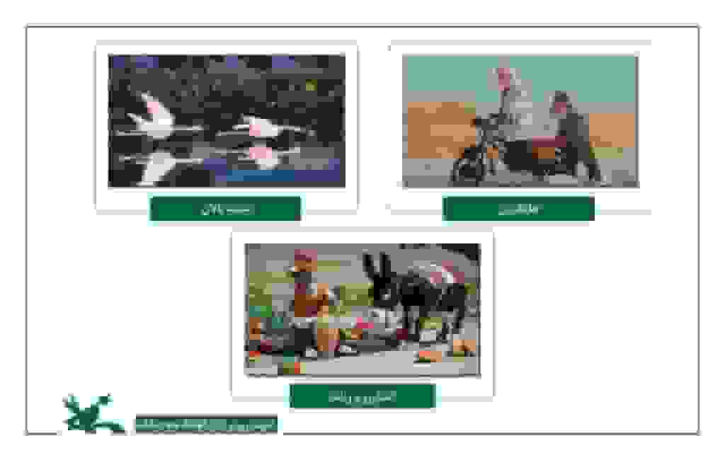 مجموعه انیمیشن «شتر و آسیابان» در جشنواره فیلم مراکش نمایش داده می‌شود