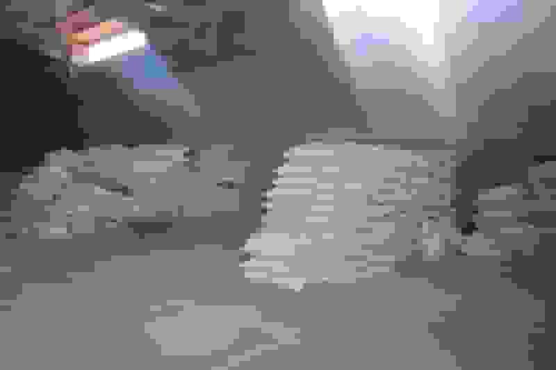 کشف کالاهای احتکاری ۵۰ میلیاردی در گرمی اردبیل