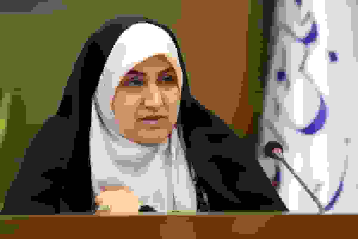 رییس فراکسیون محیط زیست مجلس در نشست پروتکل مونترال نایروبی