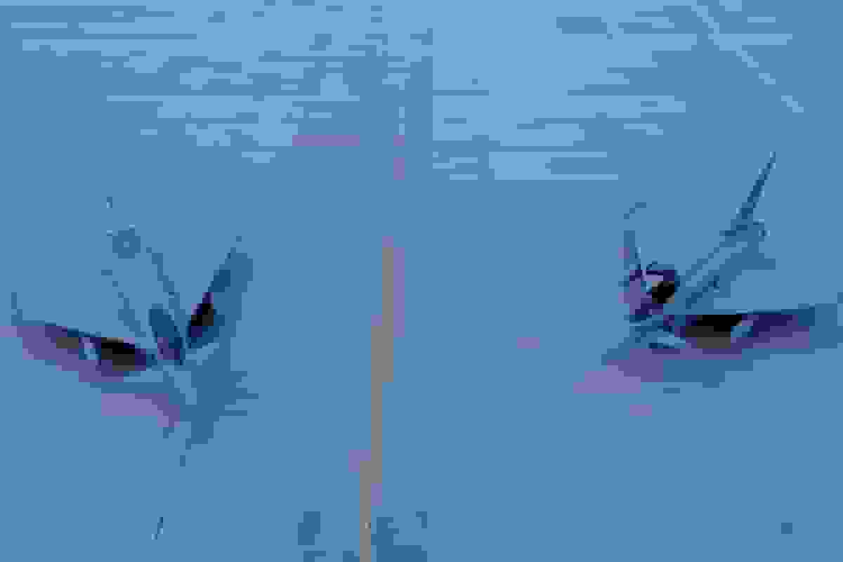 فرود دو جنگنده تایفون در پایگاه هوایی سالم الصباح کویت