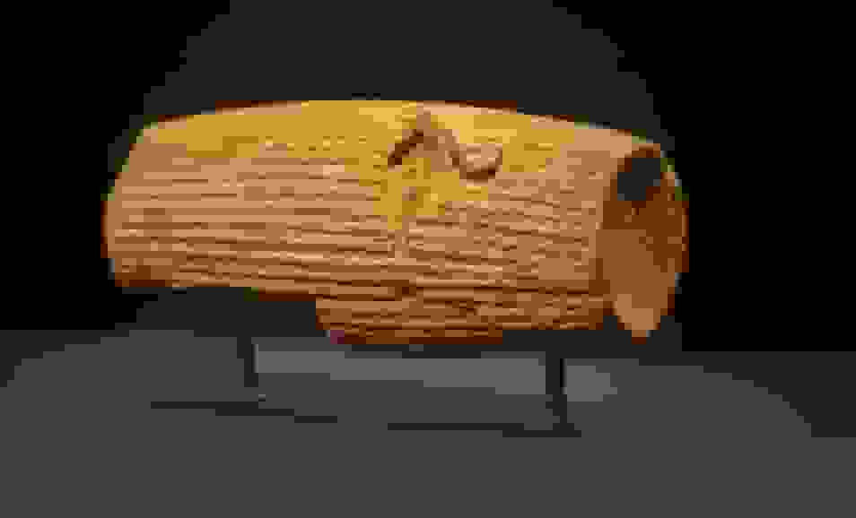 قصه‌های بی‌کلام در موزه موسیقی ایران با حضور ۱۰۰ هنرمند نقاش کودک و نوجوان