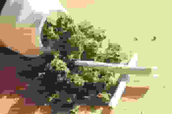 افزایش قدرت تخریب گل با دستکاری ژنتیکی: ویران‌کننده‌تر از حشیش