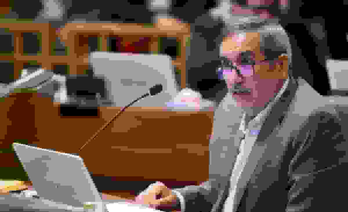 هشدار درباره خشک شدن درختان تجریش با حصارکشی و سنگ‌فرش