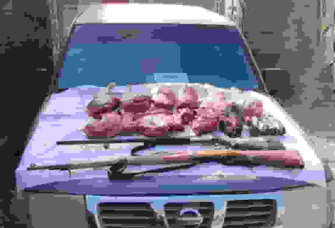 دستگیری دو شکارچی سابقه‌دار در منطقه حفاظت‌شده خامین گچساران