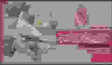 تیزر اجلاس پیرغلامان و خادمان حسینی منتشر شد/ افتتاحیه در حرم مطهر رضوی