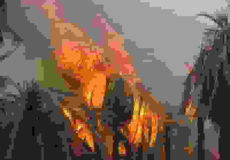 سوختن ۸۰۰ اصله نخل در آتش‌سوزی قطب‌آباد/علت حادثه در دست بررسی